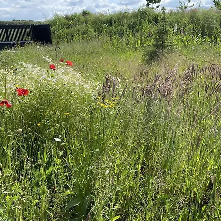 Dom wakacyjny Anelle - 500m From The Sea By Interhome